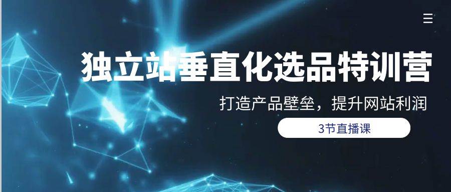 独立站-垂直化选品训练营，打造产品壁垒，提升网站利润（3节直播课）-村长副业网