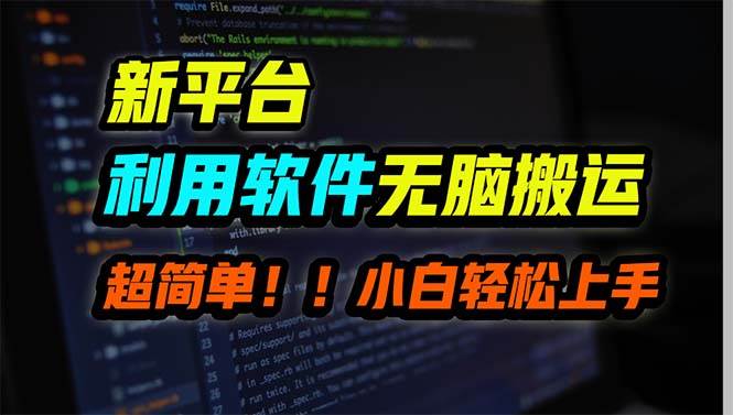 新平台用软件无脑搬运，月赚10000+，小白也能轻松上手-村长副业网