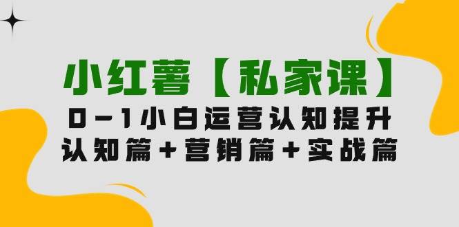 小红薯【私家课】0-1玩赚小红书内容营销，认知篇+营销篇+实战篇（11节课）-村长副业网