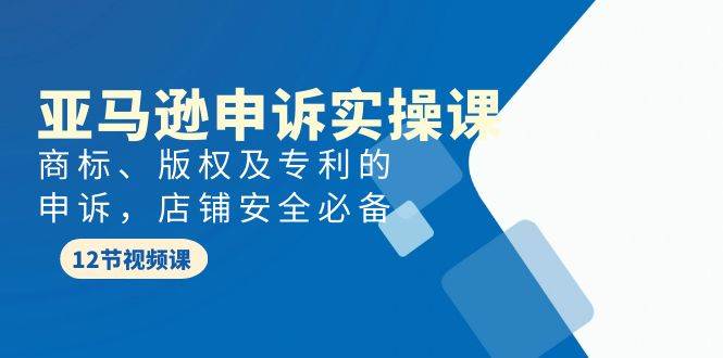 亚马逊-申诉实战课，商标、版权及专利的申诉，店铺安全必备-村长副业网