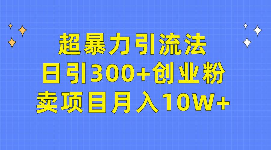 超暴力引流法，日引300+创业粉，卖项目月入10W+-村长副业网