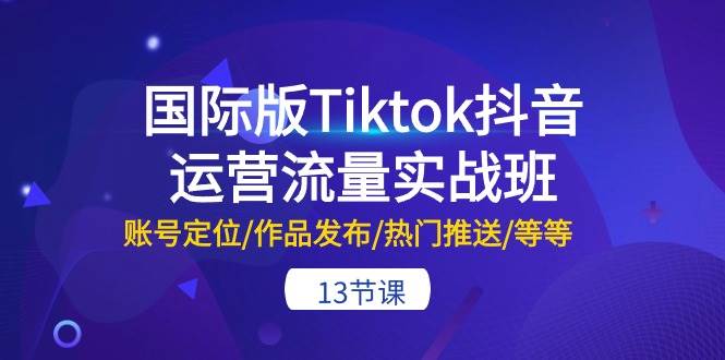 国际版Tiktok抖音运营流量实战班：账号定位/作品发布/热门推送/等等-13节-村长副业网