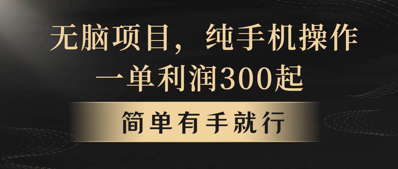 无脑项目，一单几百块，轻松月入5w+，看完就能直接操作-村长副业网