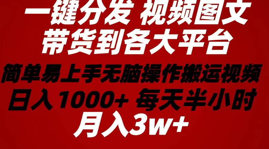 2024年 一键分发带货图文视频  简单易上手 无脑赚收益 每天半小时日入1…-村长副业网