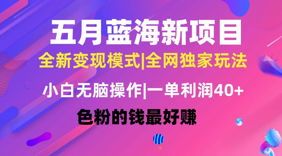 五月蓝海项目全新玩法，小白无脑操作，一天几分钟，矩阵操作，月入4万+-村长副业网