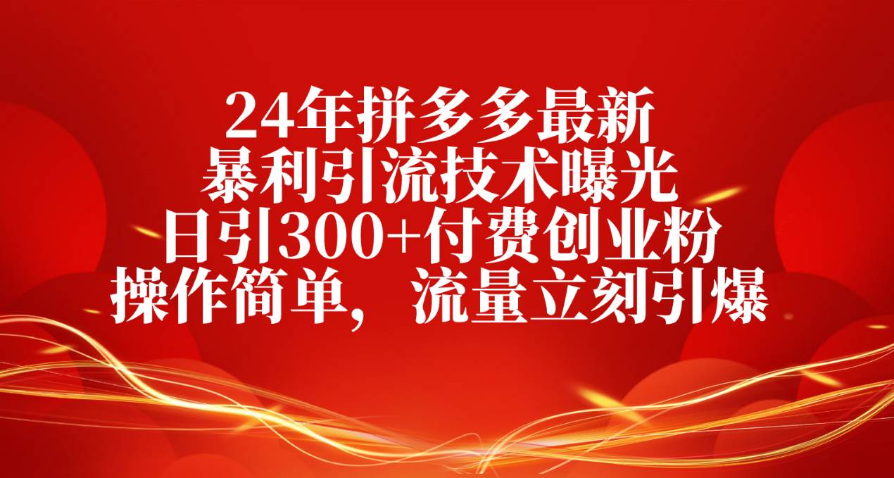 24年拼多多最新暴利引流技术曝光，日引300+付费创业粉，操作简单，流量…-村长副业网