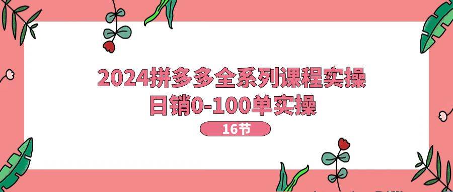 2024拼多多全系列课程实操，日销0-100单实操【16节课】-村长副业网
