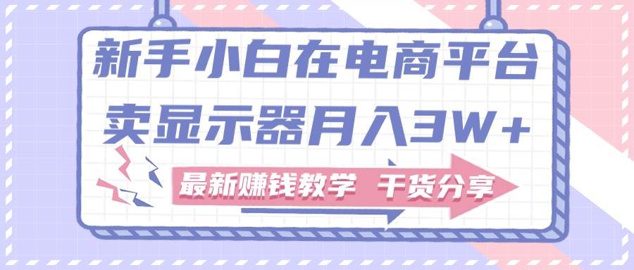 新手小白如何做到在电商平台卖显示器月入3W+，最新赚钱教学干货分享-村长副业网