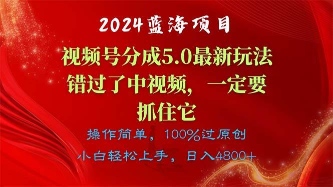 2024蓝海项目，视频号分成计划5.0最新玩法，错过了中视频，一定要抓住…-村长副业网