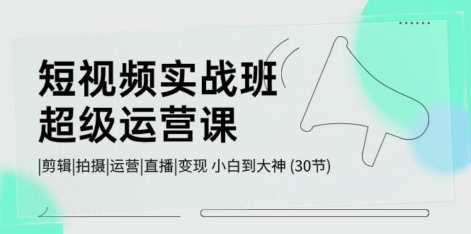 短视频实战班-超级运营课，|剪辑|拍摄|运营|直播|变现 小白到大神 (30节)-村长副业网