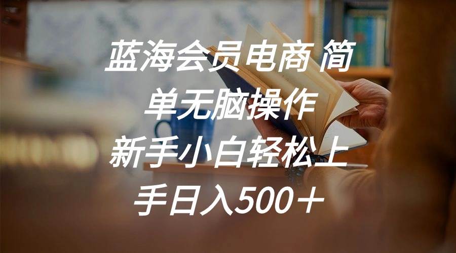蓝海会员电商 简单无脑操作 新手小白轻松上手日入500＋-村长副业网