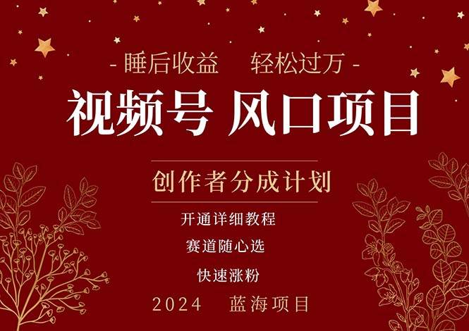 拥有睡眠收益的微信视频号大风口项目，轻松月入过万+，多赛道选择，可…-村长副业网