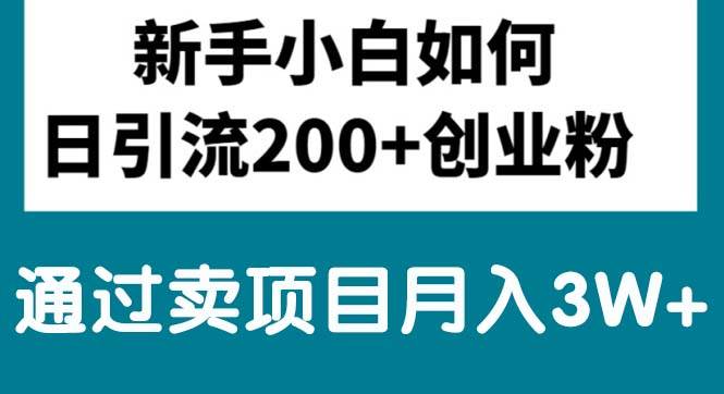 新手小白日引流200+创业粉,通过卖项目月入3W+-村长副业网