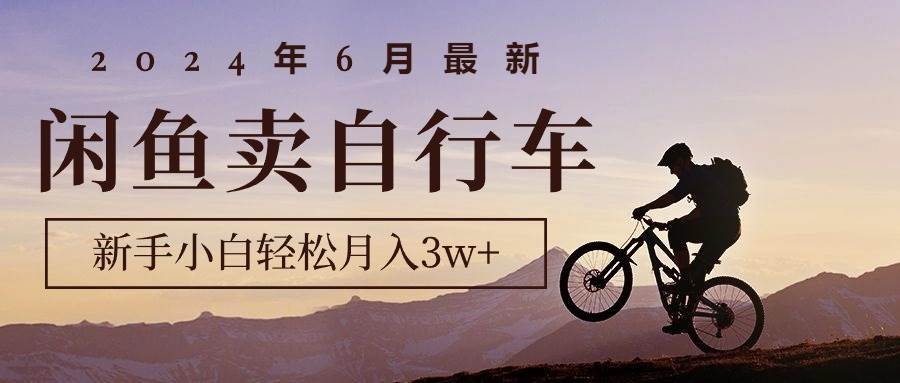 2024年6月最新闲鱼卖自行车，新手小白轻松月入3w+项目-村长副业网