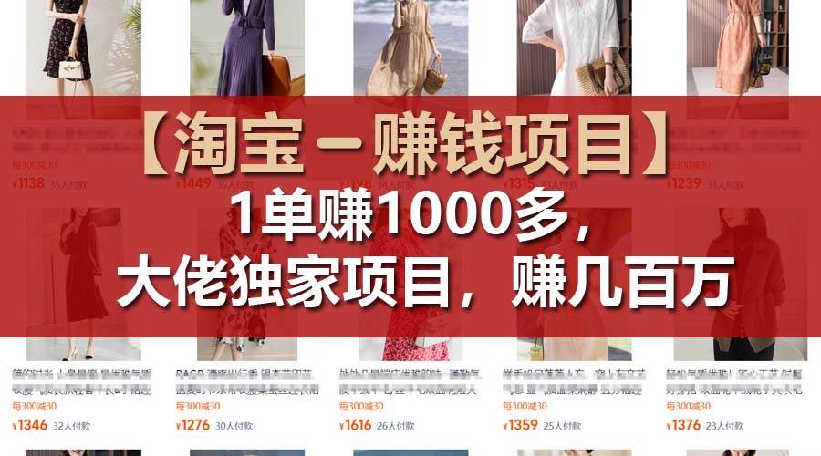 【淘宝赚钱项目】1单可赚1000多，大佬独家项目，年赚几百万-村长副业网