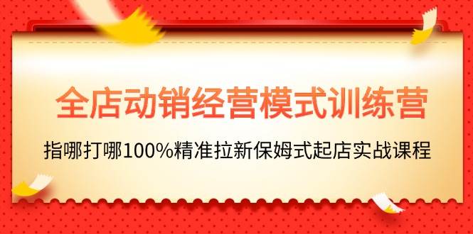 全店动销-经营模式训练营，指哪打哪100%精准拉新保姆式起店实战课程-村长副业网