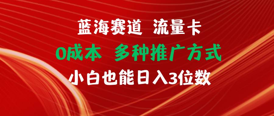 蓝海赛道 流量卡 0成本 小白也能日入三位数-村长副业网
