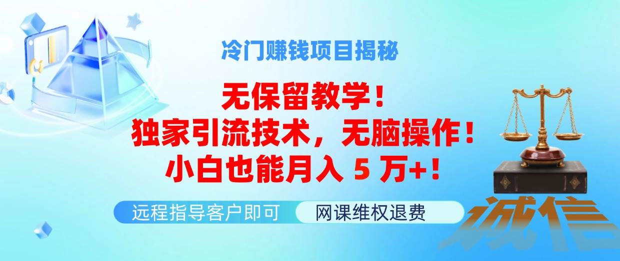 冷门赚钱项目无保留教学！独家引流技术，无脑操作！小白也能月入5万+！-村长副业网