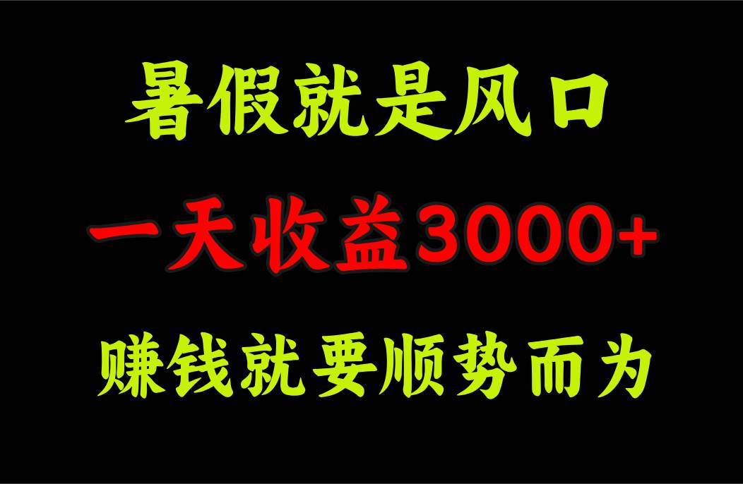 一天收益3000+ 赚钱就是顺势而为，暑假就是风口-村长副业网