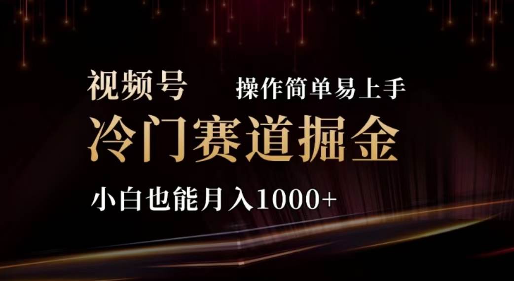 2024视频号冷门赛道掘金，操作简单轻松上手，小白也能月入1000+-村长副业网