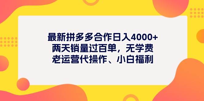 最新拼多多项目日入4000+两天销量过百单，无学费、老运营代操作、小白福利-村长副业网