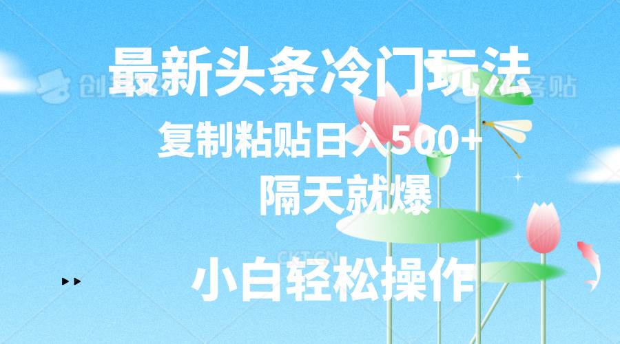 最新头条冷门玩法，隔天就爆，复制粘贴日入500+-村长副业网