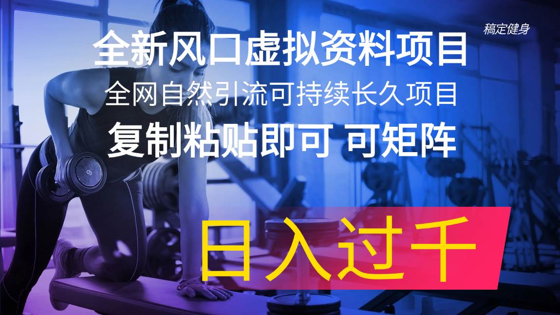 全新风口虚拟资料项目 全网自然引流可持续长久项目 复制粘贴即可可矩阵…-村长副业网