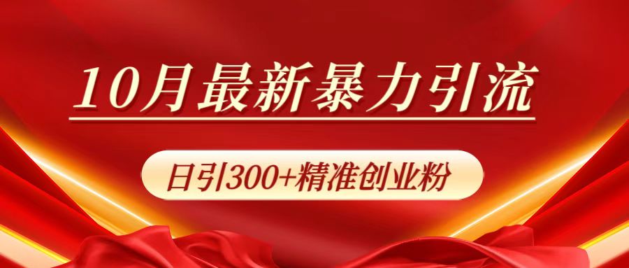 10月最新暴力引流，日引300+精准创业粉-村长副业网