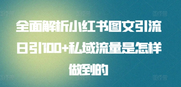 暴力引流 小红书图文引流日引100私域全面拆解【打粉人必看】-村长副业网