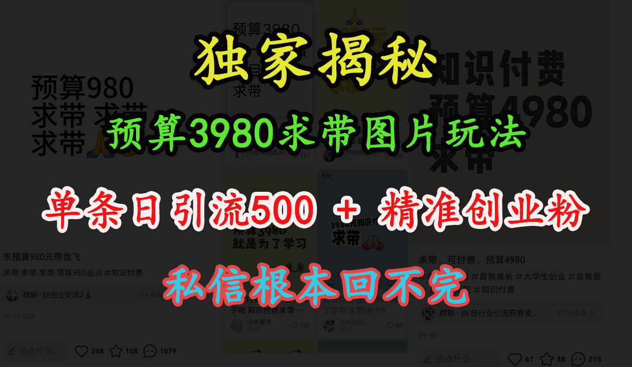 “小红书”预算3980求带 图片玩法，单条日引流500+精准创业粉，私信根本回不完-村长副业网