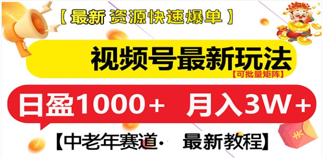 视频号独家玩法，老年养生赛道，无脑搬运爆款视频，日入1000+-村长副业网
