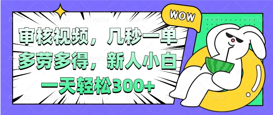 视频审核项目，几秒一单，多劳多得，新人小白一天轻松300+-村长副业网
