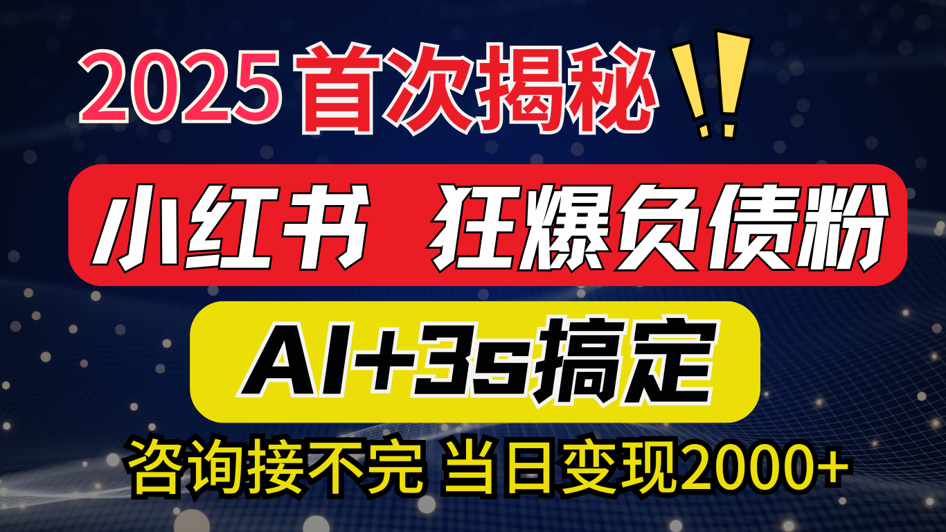 2025引流天花板：最新小红书狂暴负债粉思路，咨询接不断，当日入2000+-村长副业网