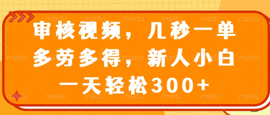 审核视频项目，几秒一单，多劳多得，新人小白一天轻松300+-村长副业网