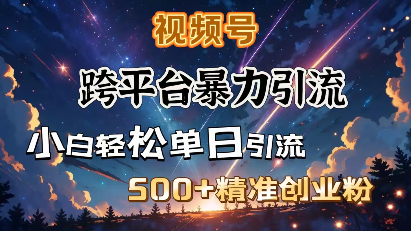视频号跨平台暴力引流，小白轻松单日引流500＋精准创业粉-村长副业网