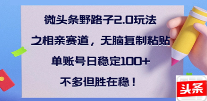 全网首发微头条野路子2.0玩法之相亲赛道，无脑搬砖复制粘贴，单账号日稳定300+保姆级教程-村长副业网