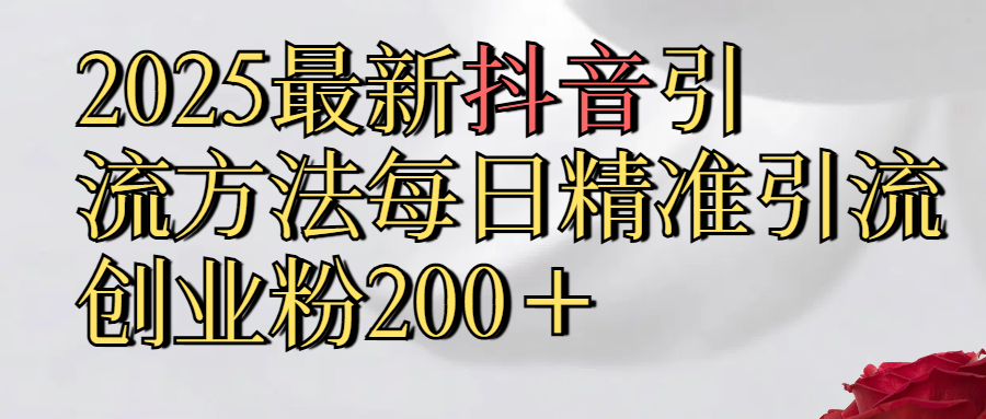 2025最新,抖音引流,方法每日精准引流创业粉300＋-村长副业网
