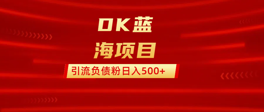 DK蓝海项目  通过，抖音，快手，小红书，引流负债粉日入500+-村长副业网