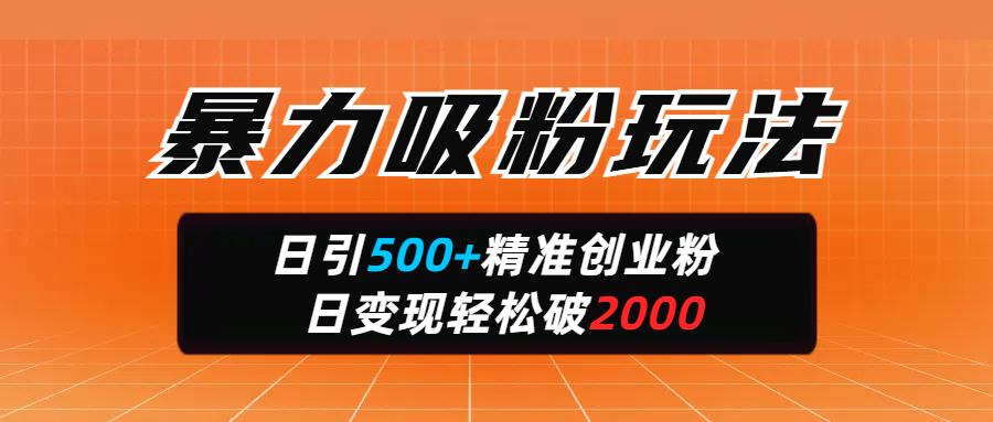 暴力吸粉玩法，日引500+精准创业粉，日变现轻松破2000-村长副业网