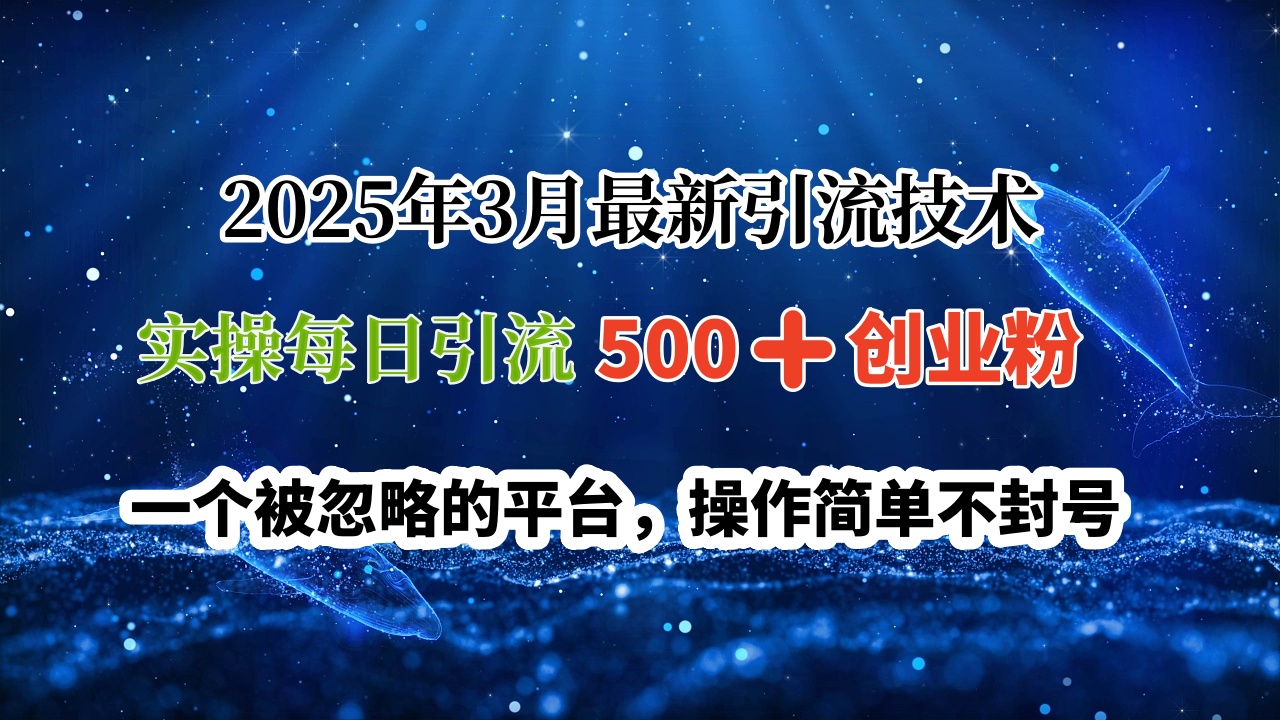 2025年3月最新引流技术，实操每日引流500➕创业粉，一个被忽略的平台，操作简单不封号-村长副业网