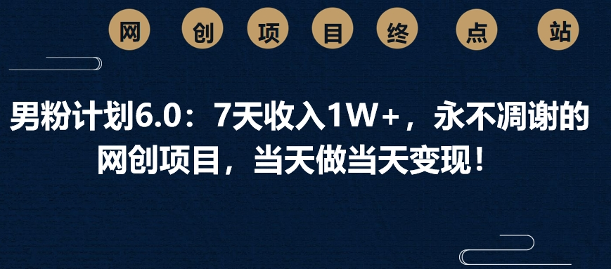 男粉计划6.0：7天收入1W+，永不凋谢的网创项目，当天做当天变现！-村长副业网