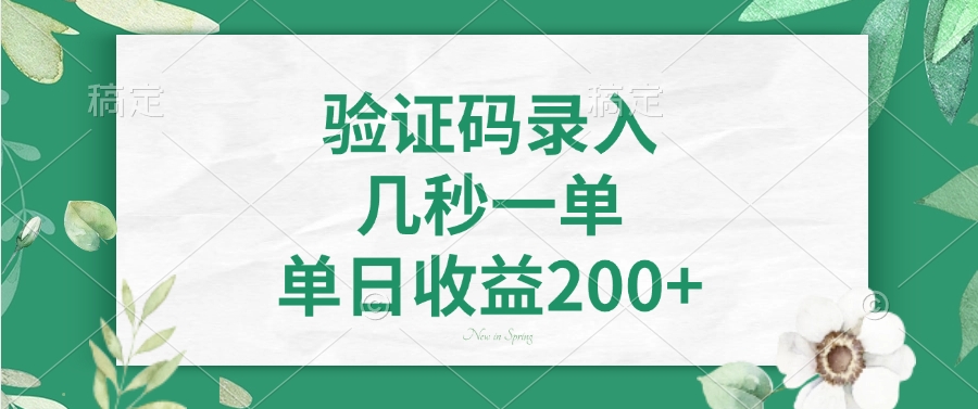 验证码录入，看图识字，几秒一单，单日收益200+-村长副业网