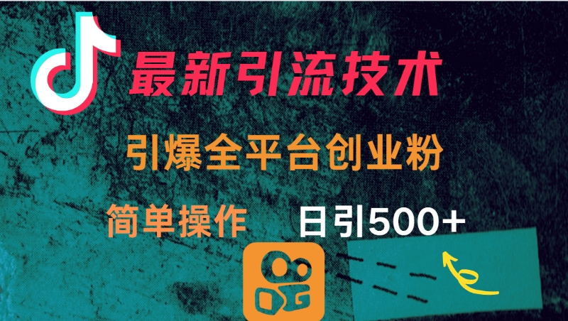 最新引流方法，引爆全平台创业粉操作简单，日引300＋-村长副业网