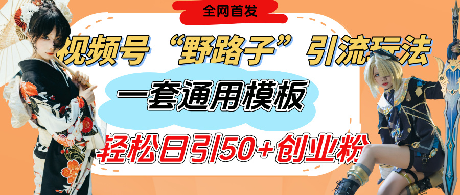 视频号“野路子”玩法，评论区疯狂截流，一套模板单日单号引流50+创业粉-村长副业网