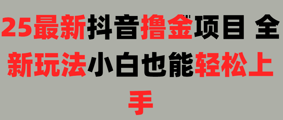 25最新抖音直播撸金项目，小白也能轻松上手！-村长副业网