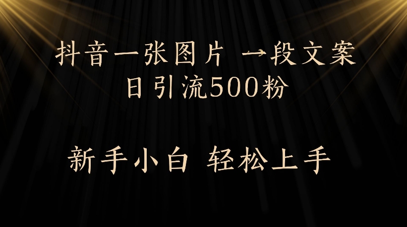抖音一张图片，一段文案日引流500粉，新手小白 轻松上手-村长副业网