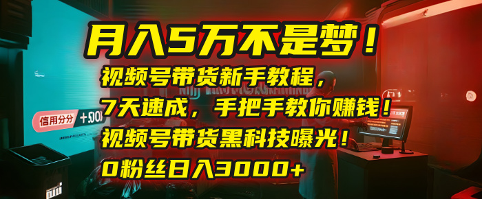 月入5万不是梦！视频号带货新手教程，7天速成，手把手教你赚钱！视频号带货黑科技曝光！0粉丝日入3000+-村长副业网