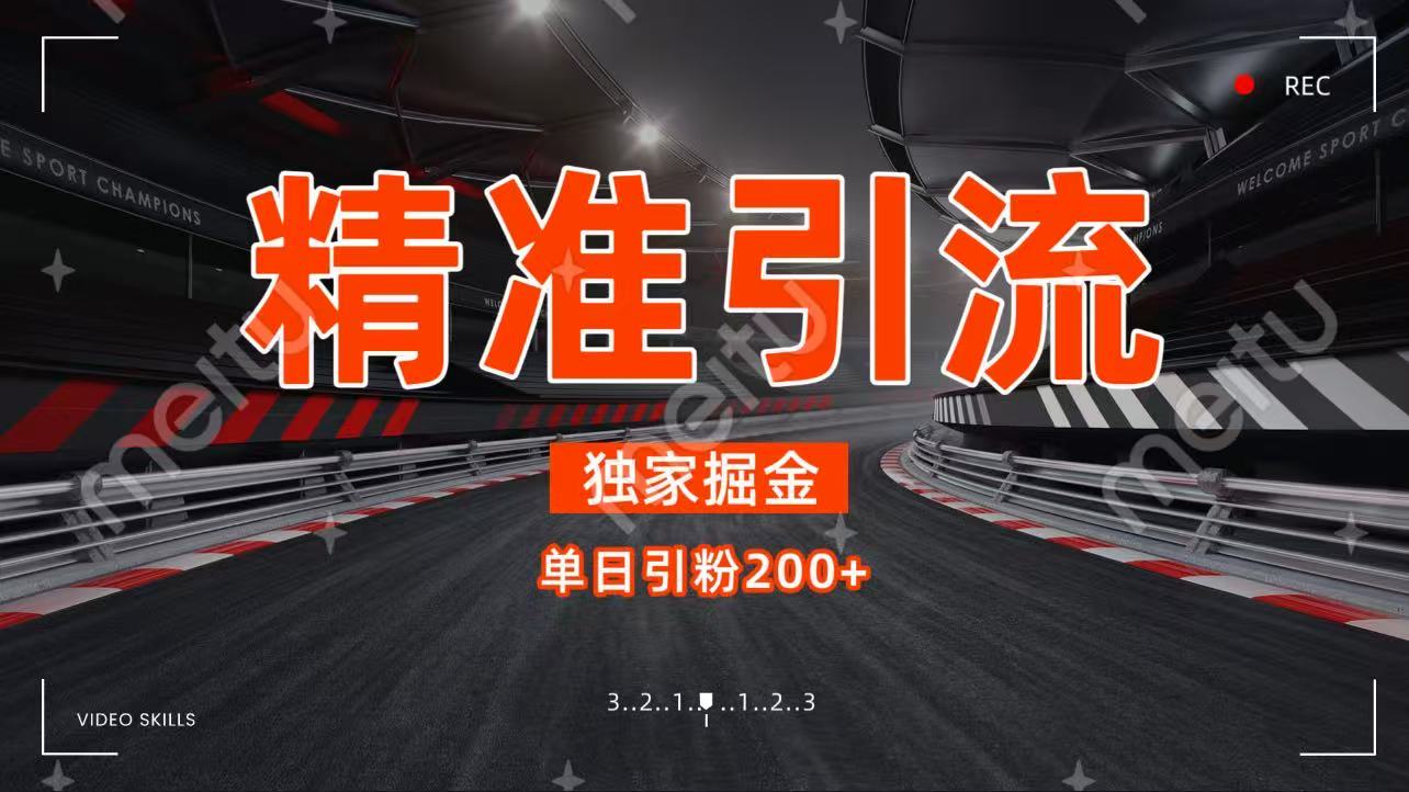 独家野路子精准引流 每日200+-村长副业网