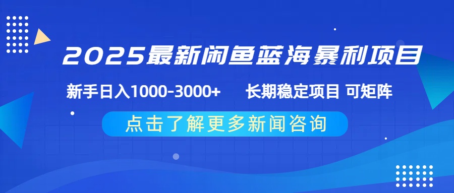 2025最新闲鱼蓝海暴利项目 ，新手日入1000-3000+ 长期稳定项目 可矩阵-村长副业网