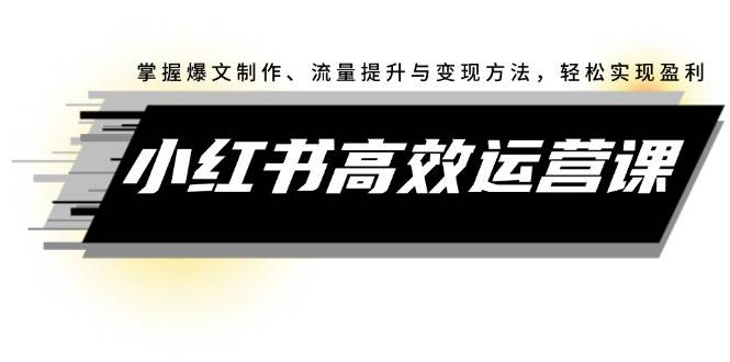 小红书高效运营课：掌握爆文制作、流量提升与变现方法，轻松实现盈利-村长副业网